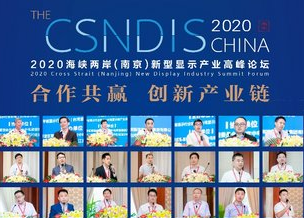 2020ϿϾʾҵ߷̳ɹٰ481038