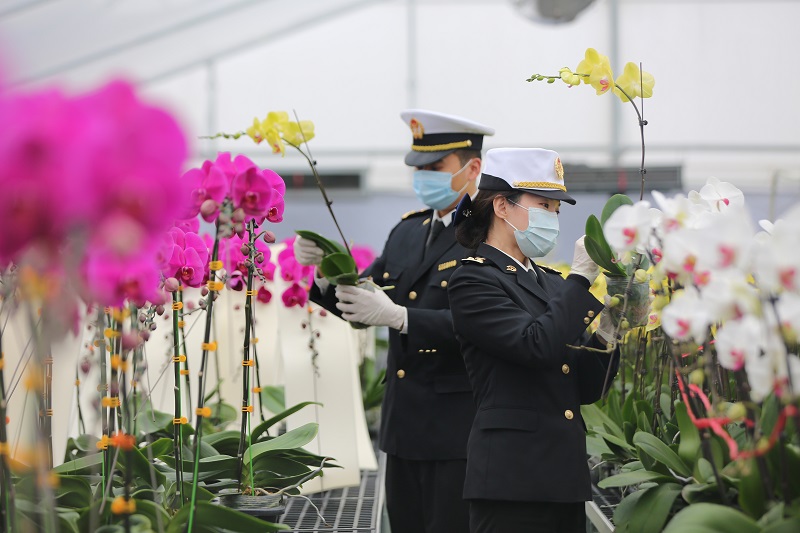 ǧӭ´ ζŨ ݺ껨۳ٴ¸