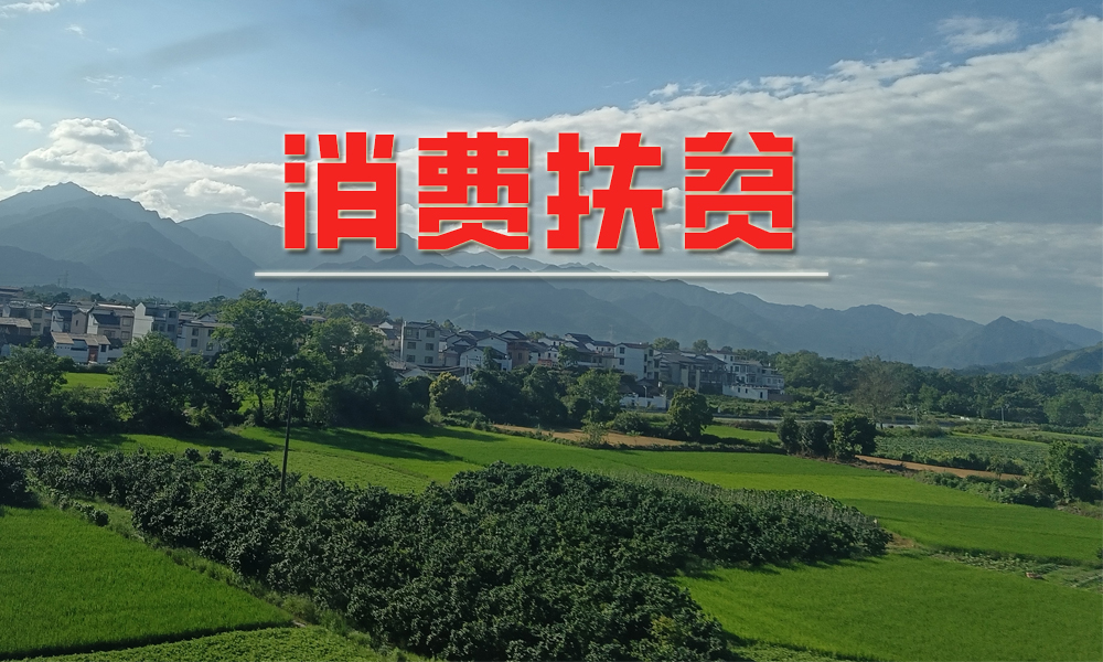 ũҵר̷ƽ I +䡰԰48ظչ