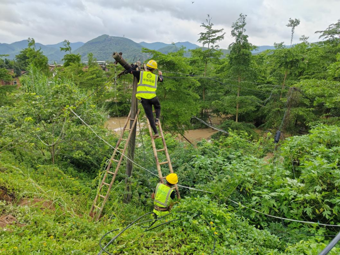 ս ͨţйƶ̨ͦ硰ǰ