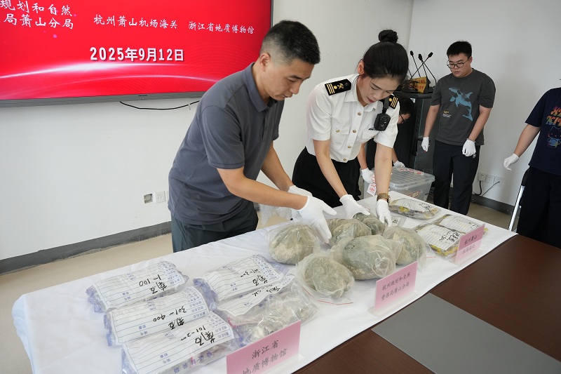 2000زﻯʯҡ㽭ʡʲ