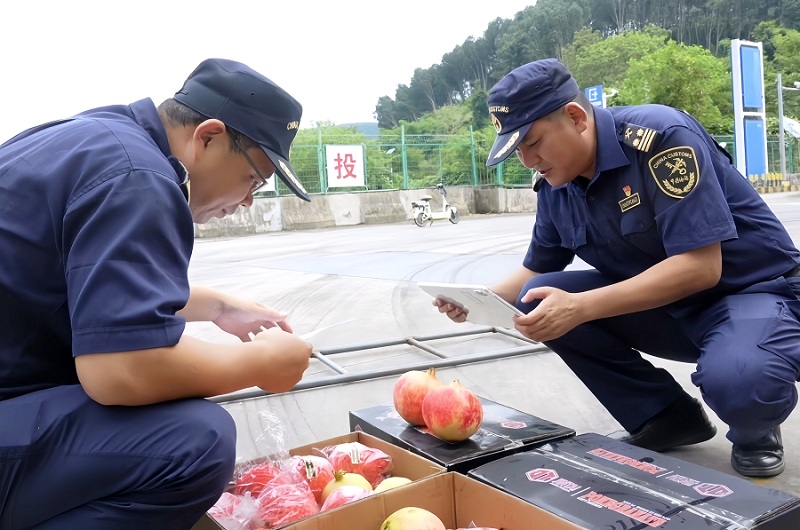 ǰ8¹۸ۿڰó׶ͬȷһ