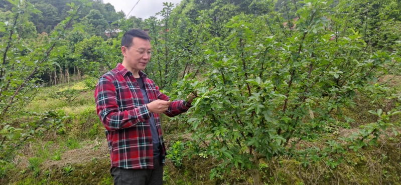 ҵ滮ר̷ƽũҵͶѡѡ